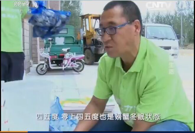 中央電視臺(tái)走進(jìn)二力河蟹養(yǎng)殖基地體驗(yàn)河蟹養(yǎng)殖生活