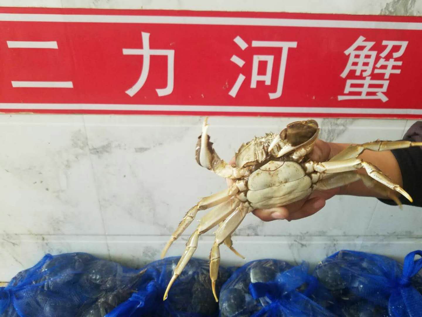 盤錦河蟹的藥用價值