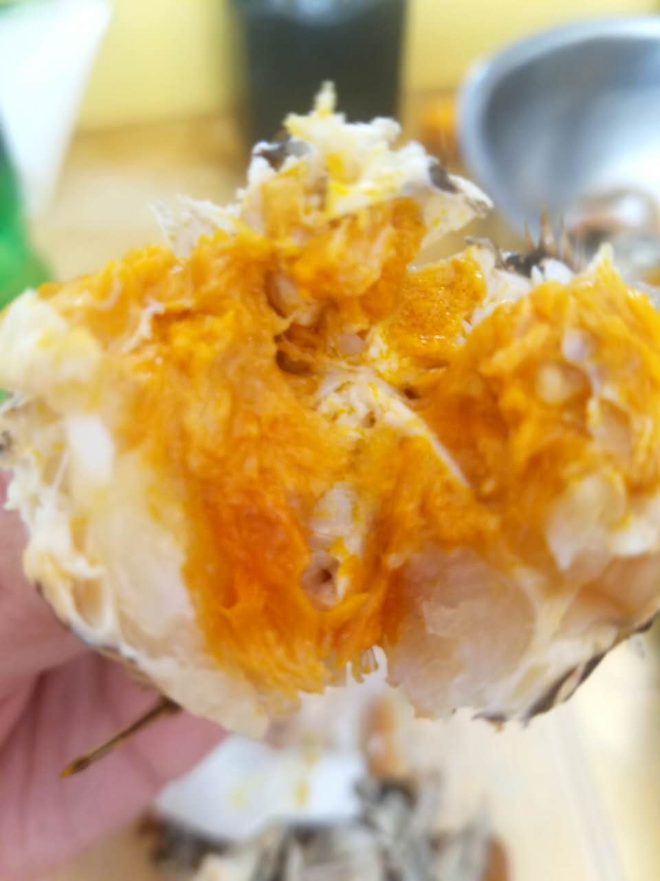 2019年盤錦河蟹價格