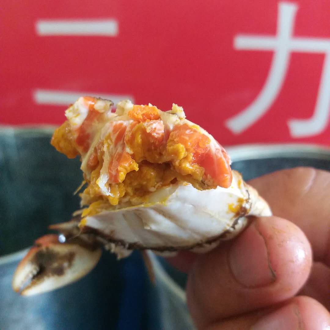 盤錦河蟹：一兩重稻田母蟹
