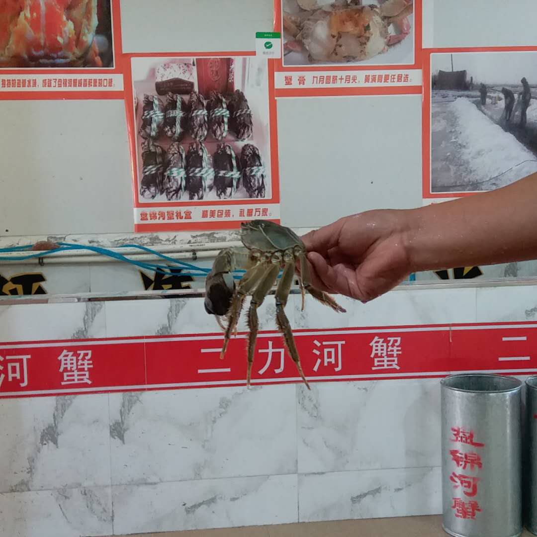 盤錦河蟹哪家好