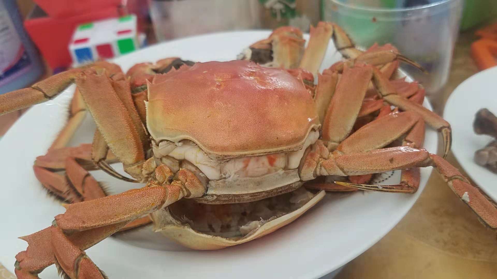 盤錦河蟹什么時候最好