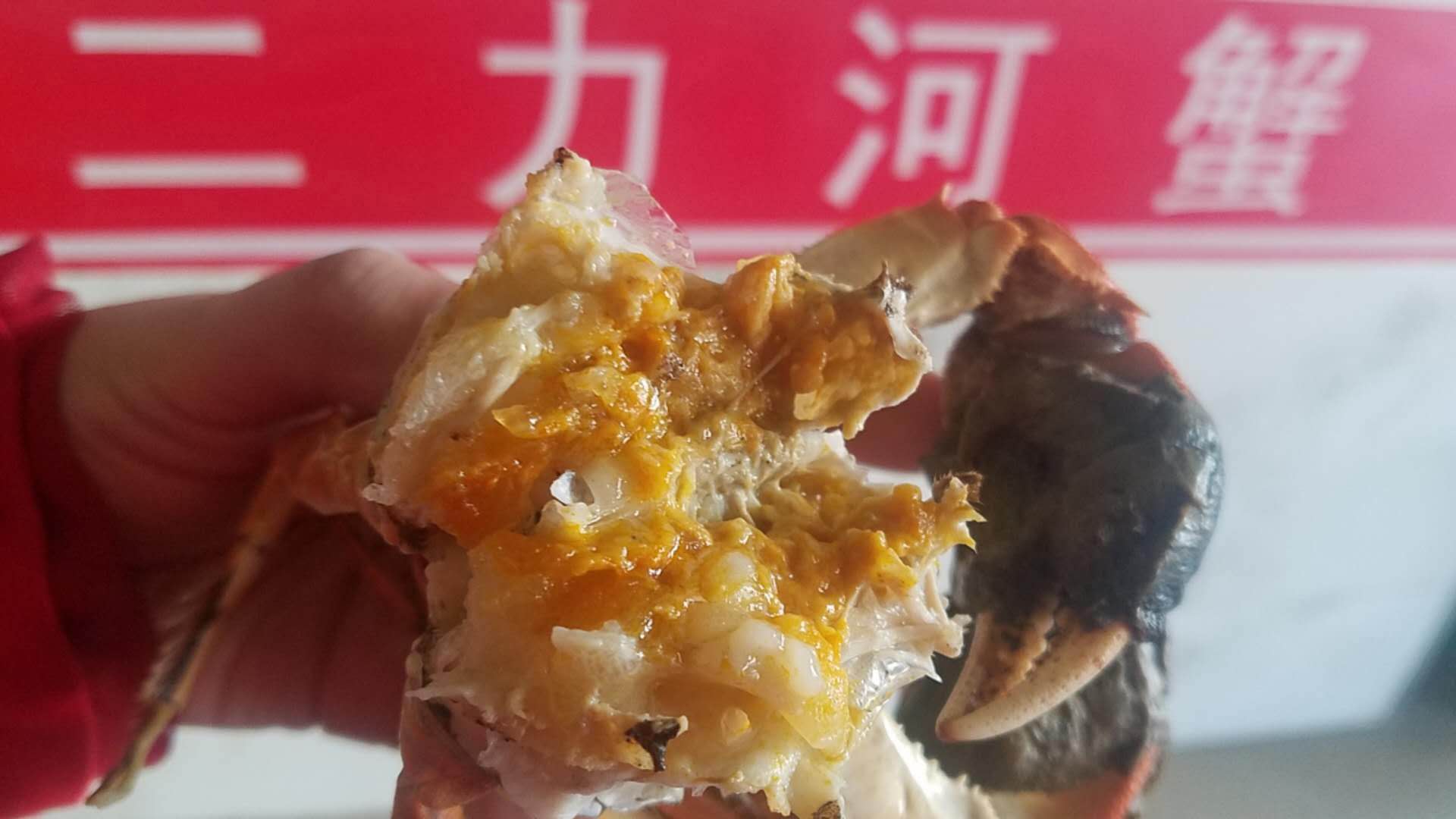 冬季盤錦河蟹公蟹滿膏