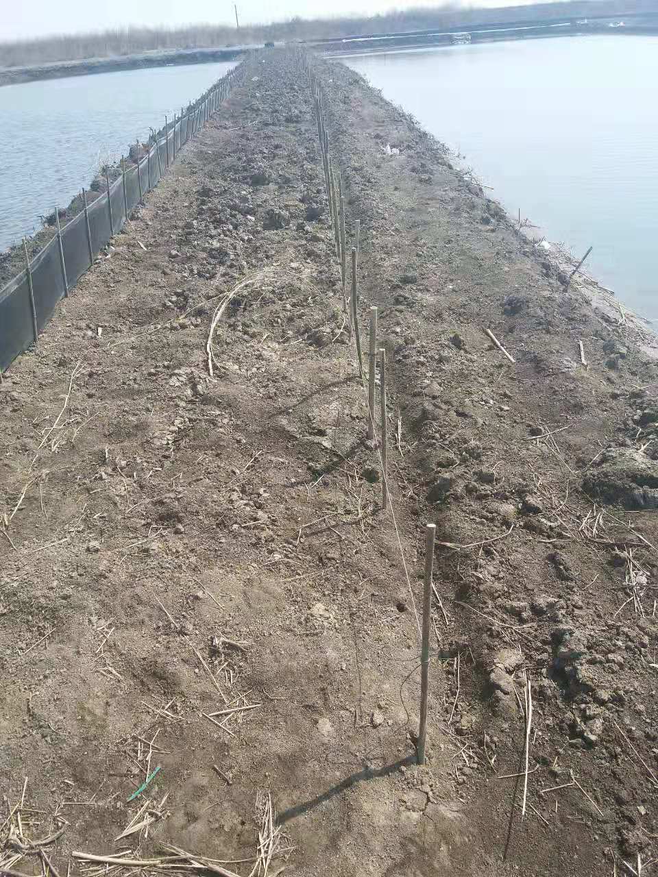 河蟹養(yǎng)殖防逃網(wǎng)安裝步驟一