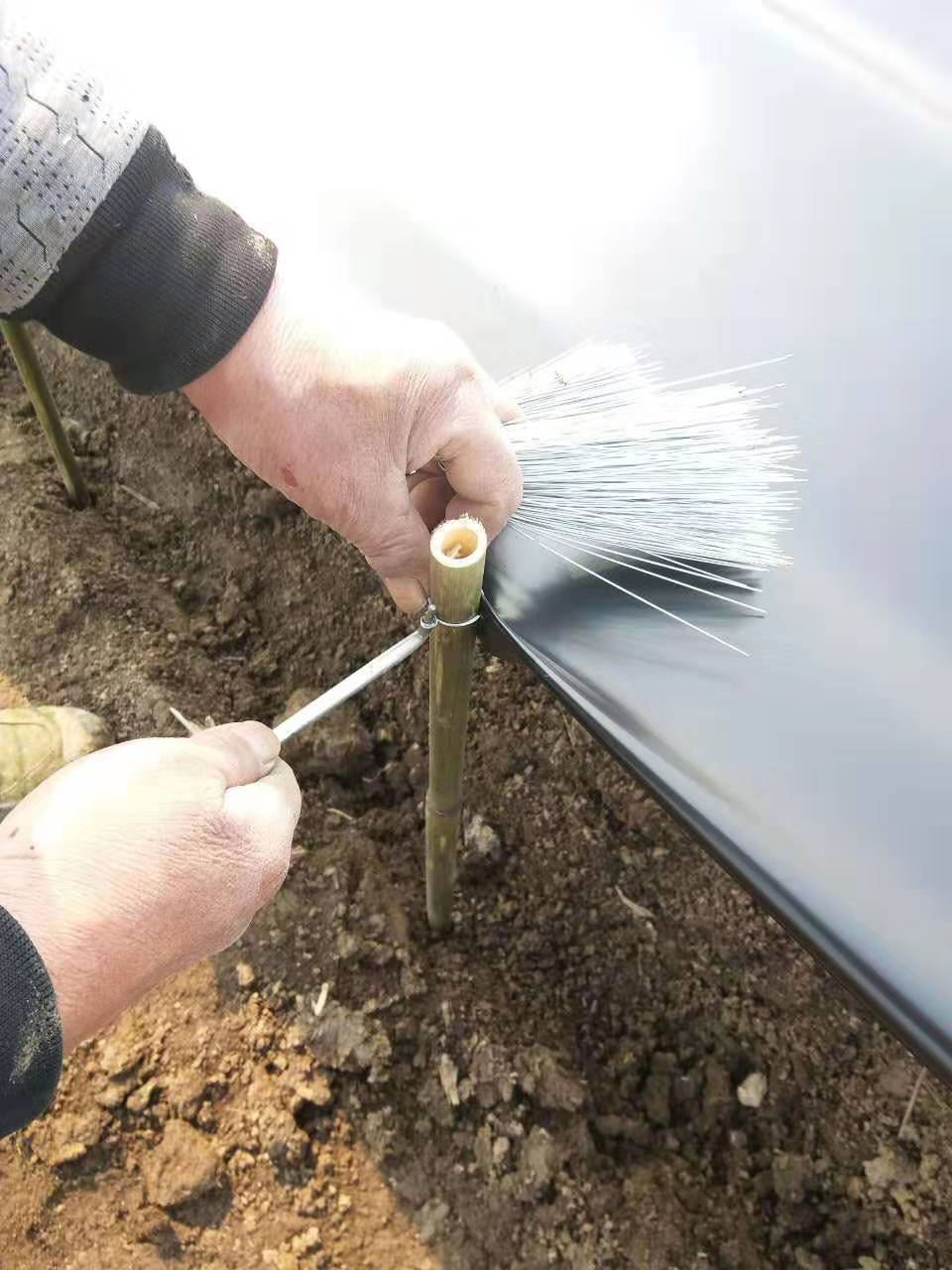 池塘養(yǎng)蟹防逃網(wǎng)設(shè)置