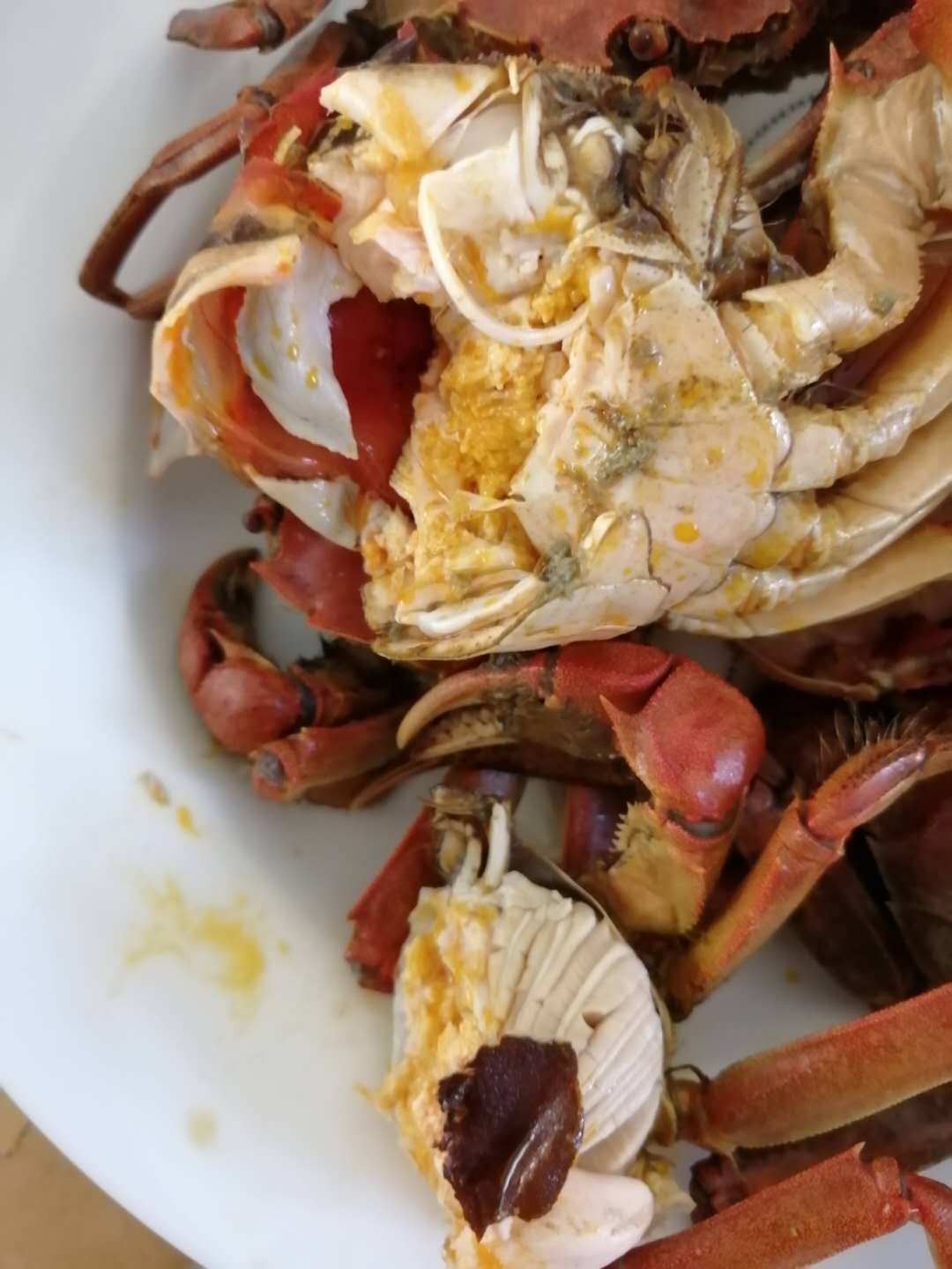 盤錦野生肥度看得見