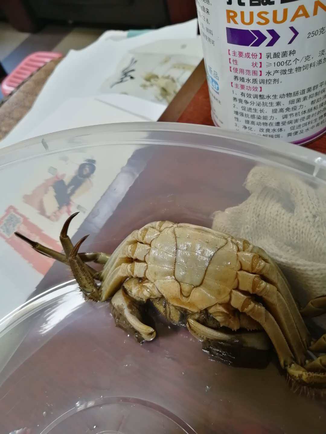 挑選盤錦六月黃蟹方法：蟹不活躍，手感厚重，腹部有水銹色，臍頂端有隱約透出的黃色，質(zhì)量最好的黃蟹是雙螯有紅色透出。