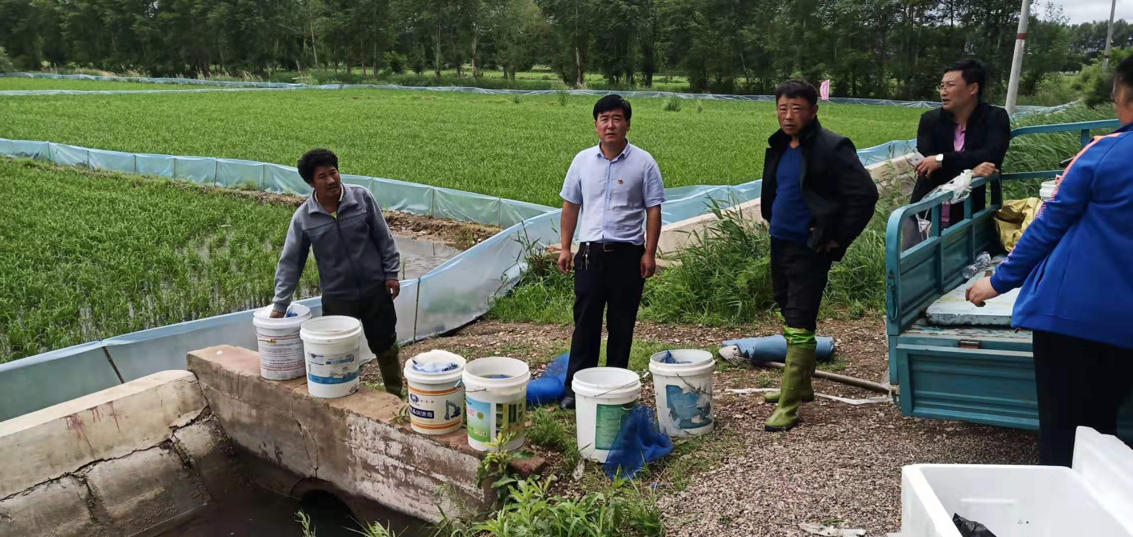 規(guī)模稻田養(yǎng)蟹