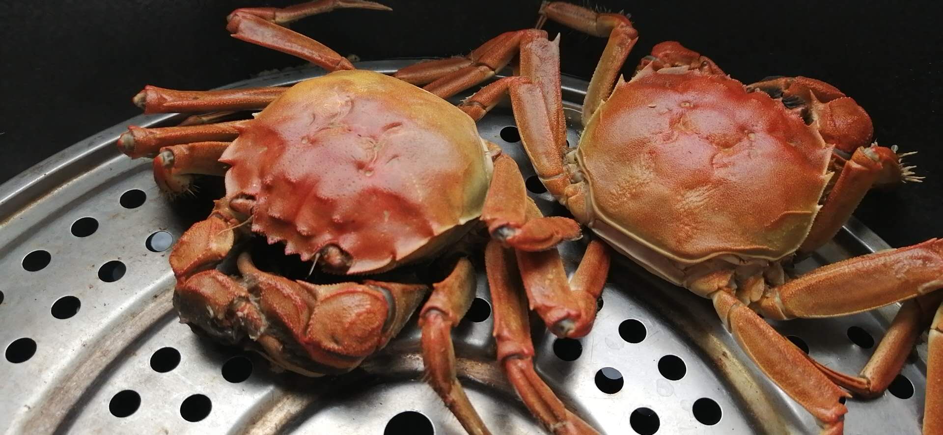 熟的盤錦河蟹六月黃