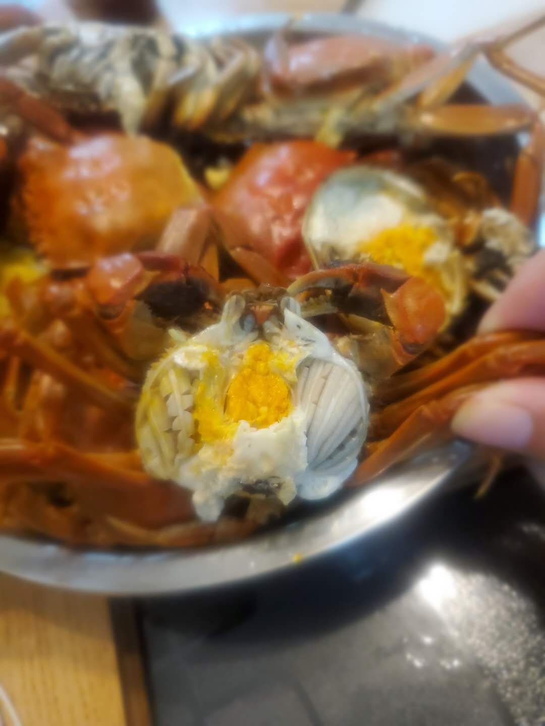 二力河蟹養(yǎng)殖基地三兩重盤錦六月黃