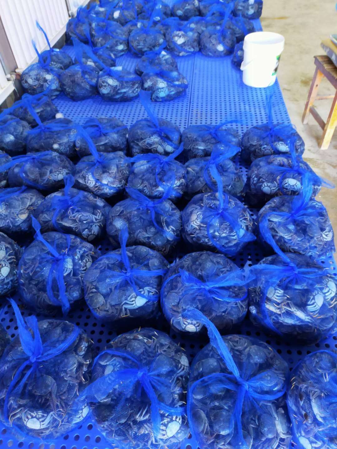 盤錦河蟹批發(fā)價(jià)格表