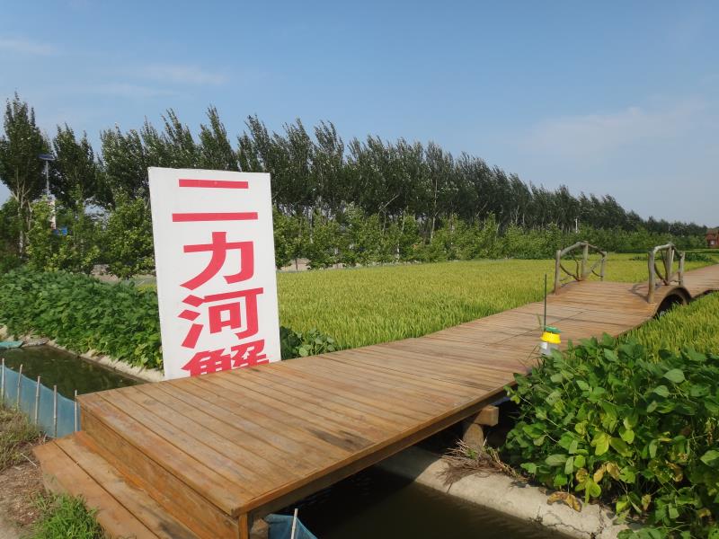 盤錦河蟹什么時(shí)候最肥