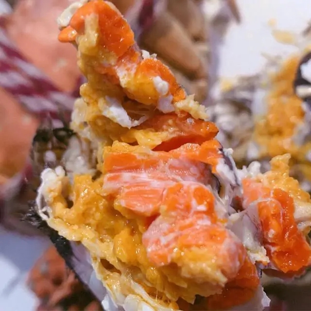 盤錦河蟹什么時候最肥