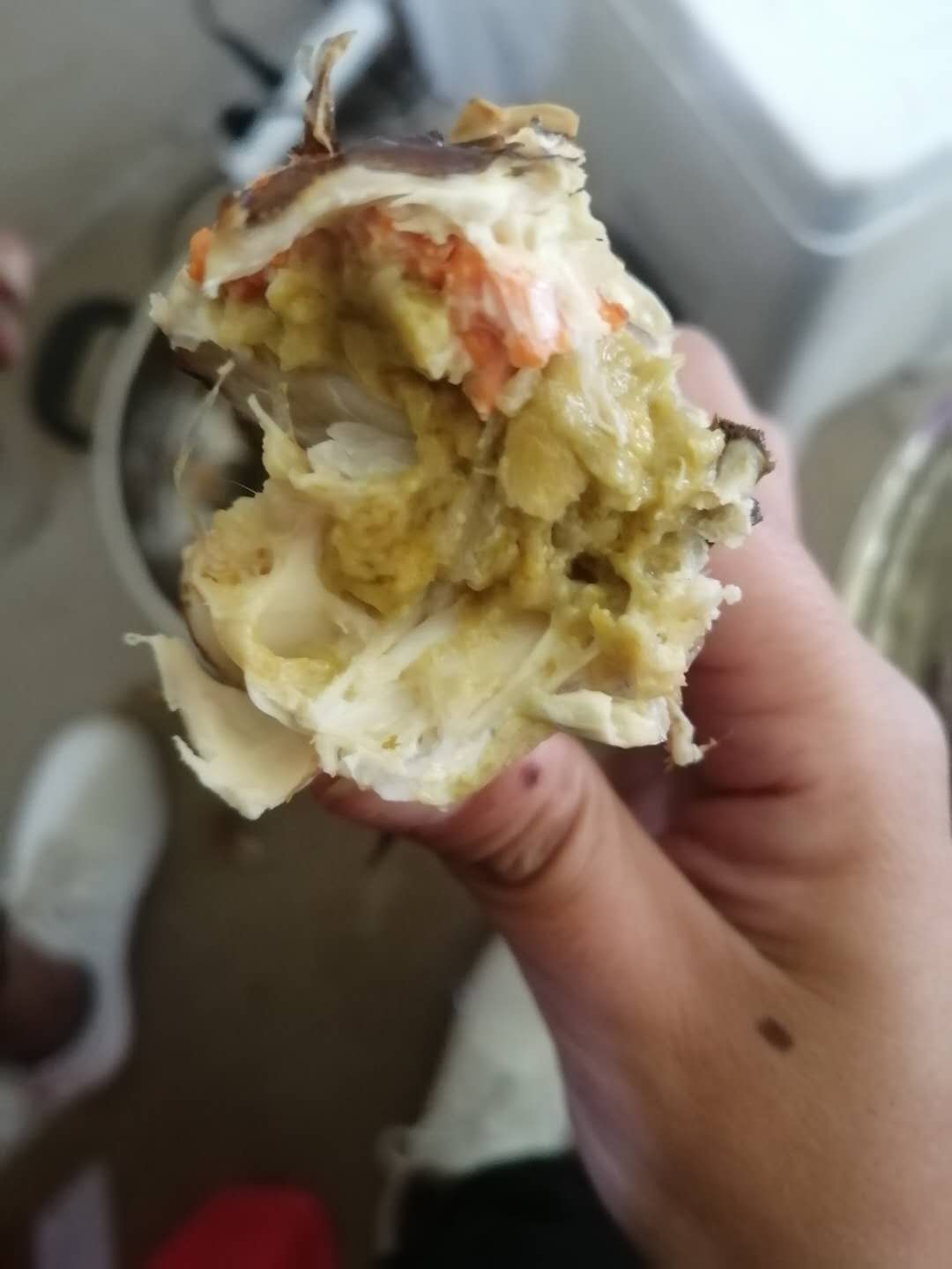 患牛奶病的盤錦河蟹母蟹