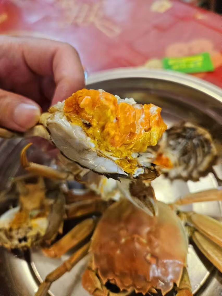 2024盤錦河蟹批發(fā)價(jià)格