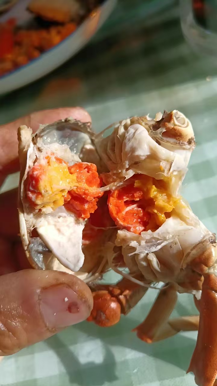 2024盤錦河蟹批發(fā)價(jià)格