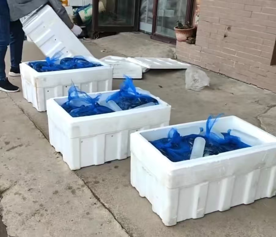 2024盤錦河蟹批發(fā)價(jià)格