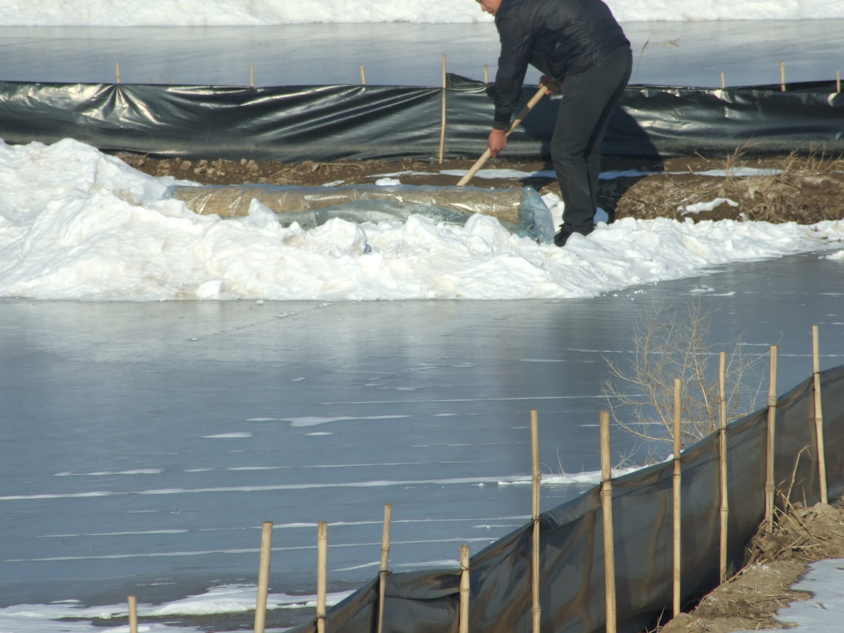 二力河蟹養(yǎng)殖基地越冬場(chǎng)除雪明冰