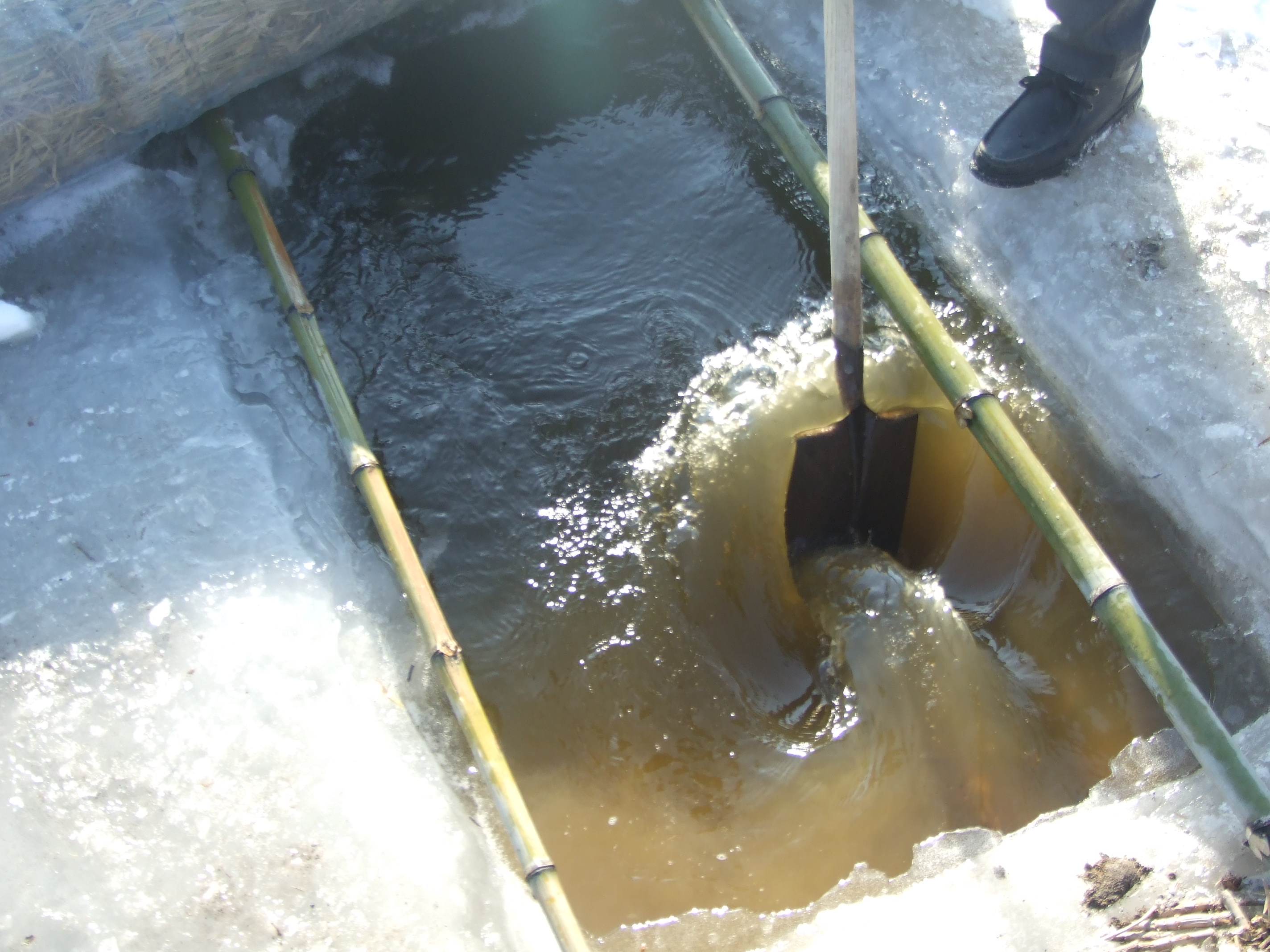 盤(pán)錦扣蟹苗越冬暫養(yǎng)必備工作