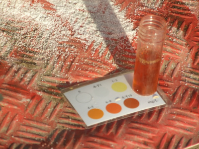 一場(chǎng)大雪后檢測(cè)2.5米深的越冬蟹池底溶氧在10~14ppm，符合越冬蟹需氧量