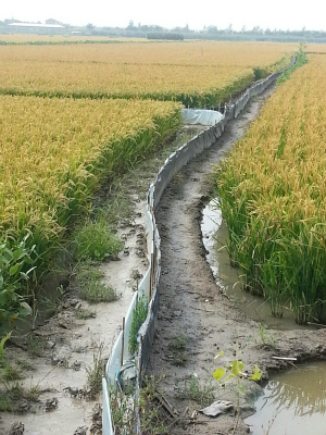 性成熟后的降河入海洄游是引起螃蟹大量逃逸的主因，因此稻田養(yǎng)蟹、池塘養(yǎng)蟹、河道養(yǎng)蟹必須采取防老化蟹膜設(shè)置防逃網(wǎng)布