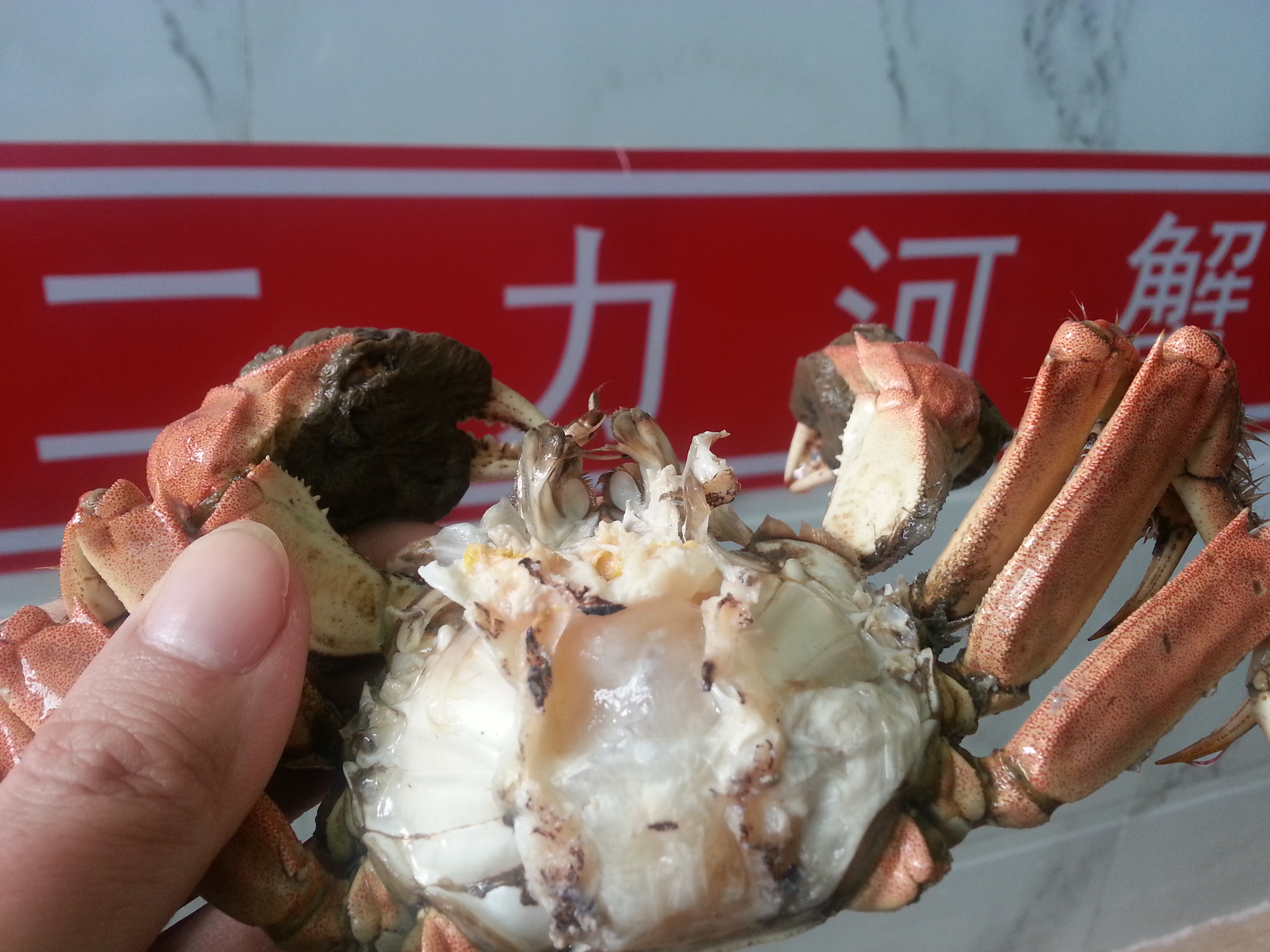 二力河蟹春節(jié)期間的公蟹膏