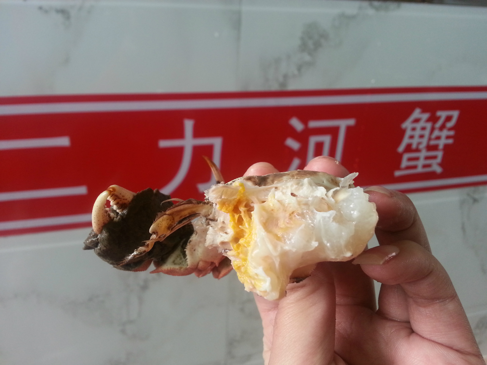 2015年送盤錦河蟹，有&ldquo;鉗&rdquo;才任性