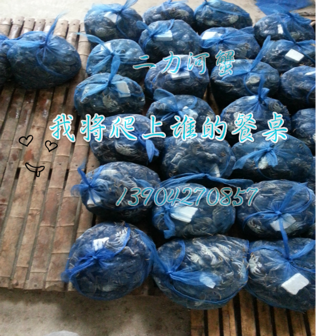 盤錦河蟹批發(fā)市場