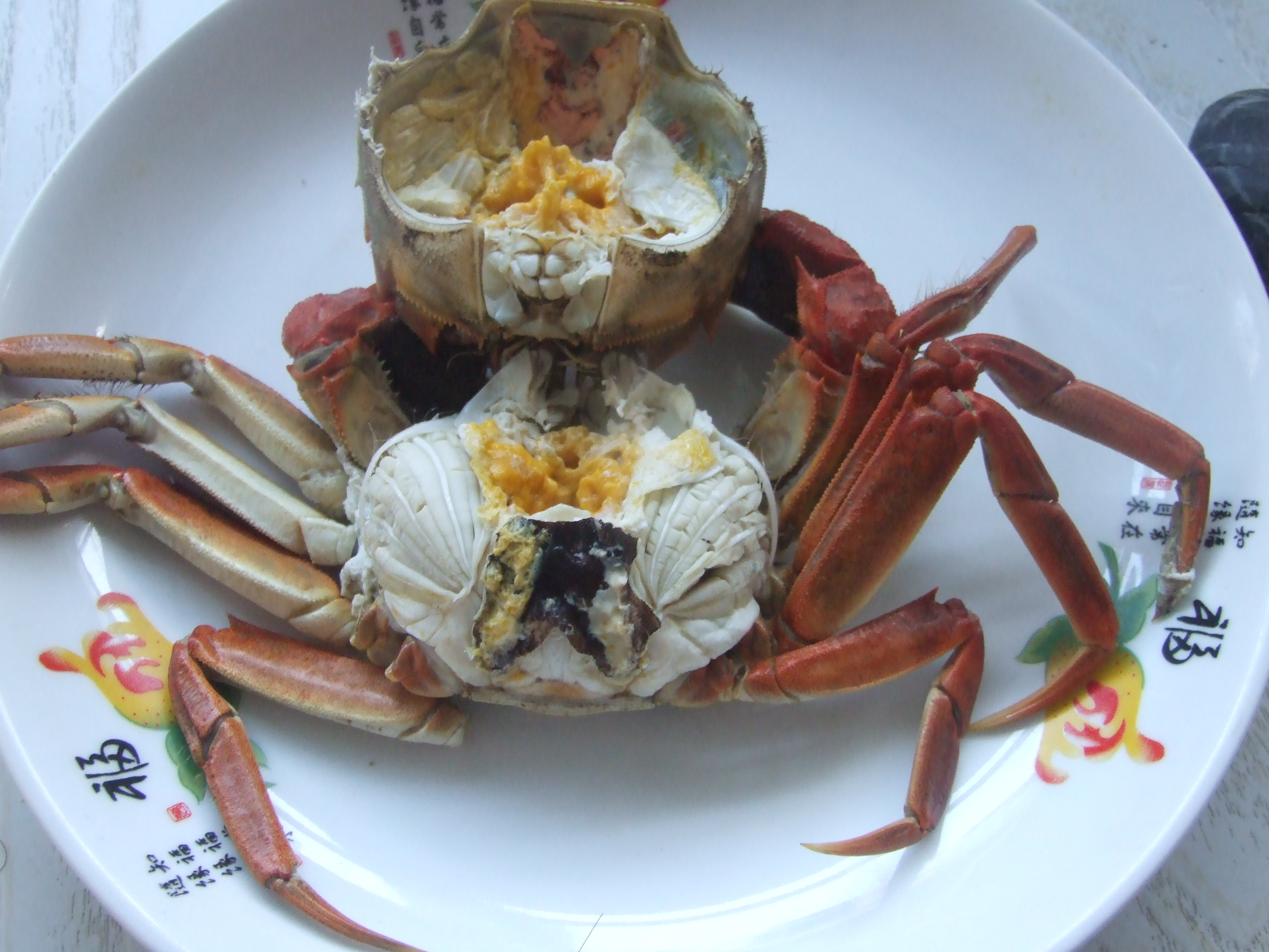 盤錦野生河蟹-六月黃