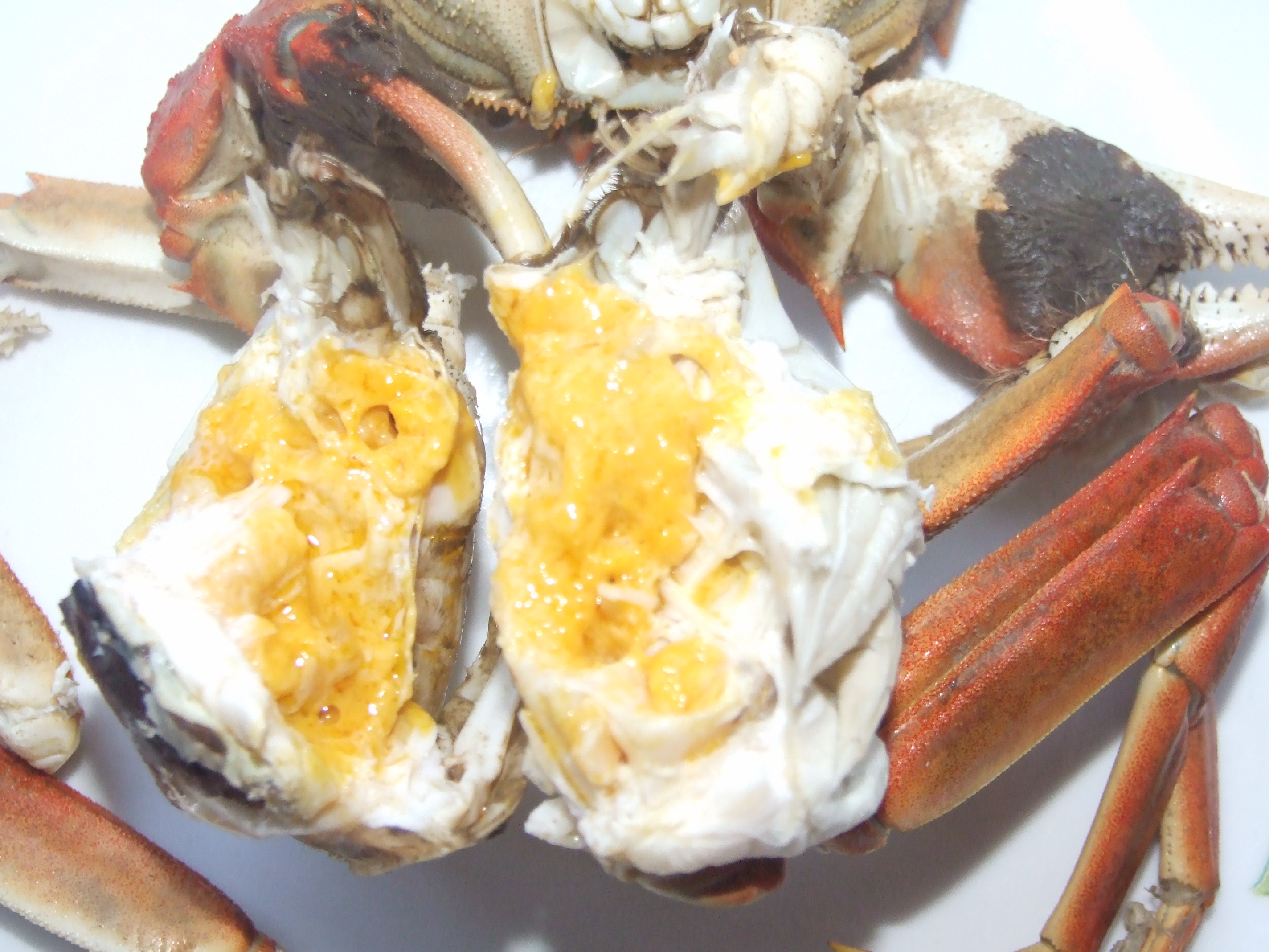 盤錦河蟹六月黃