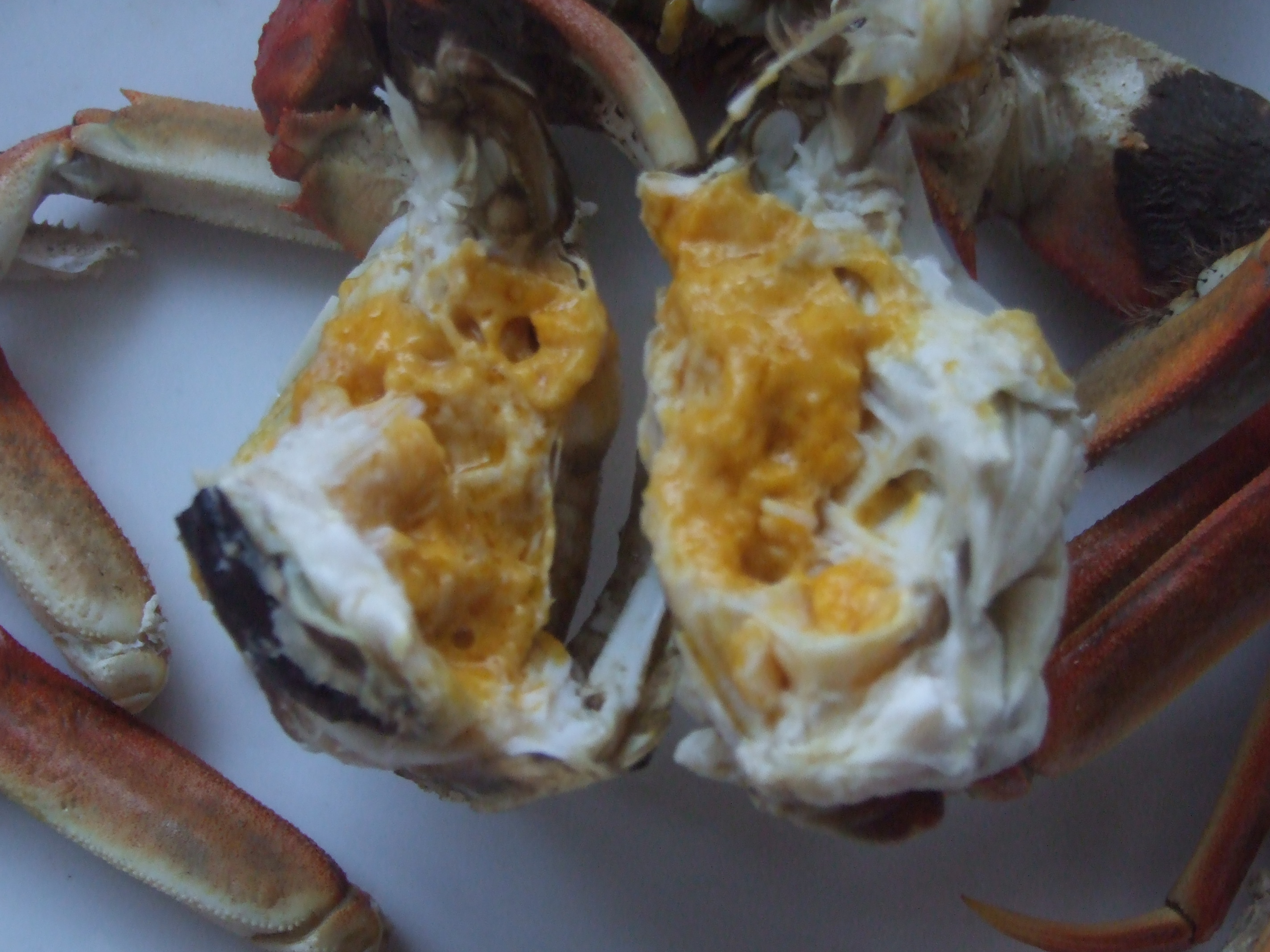 金玉滿堂二力河蟹