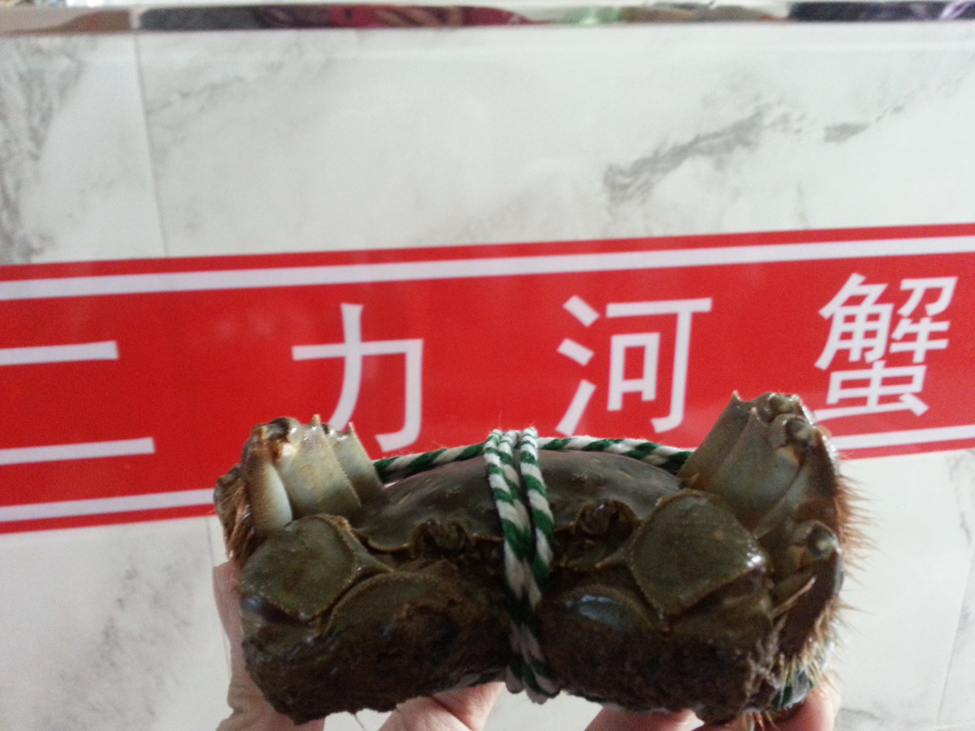 捆綁后的二力牌盤錦河蟹