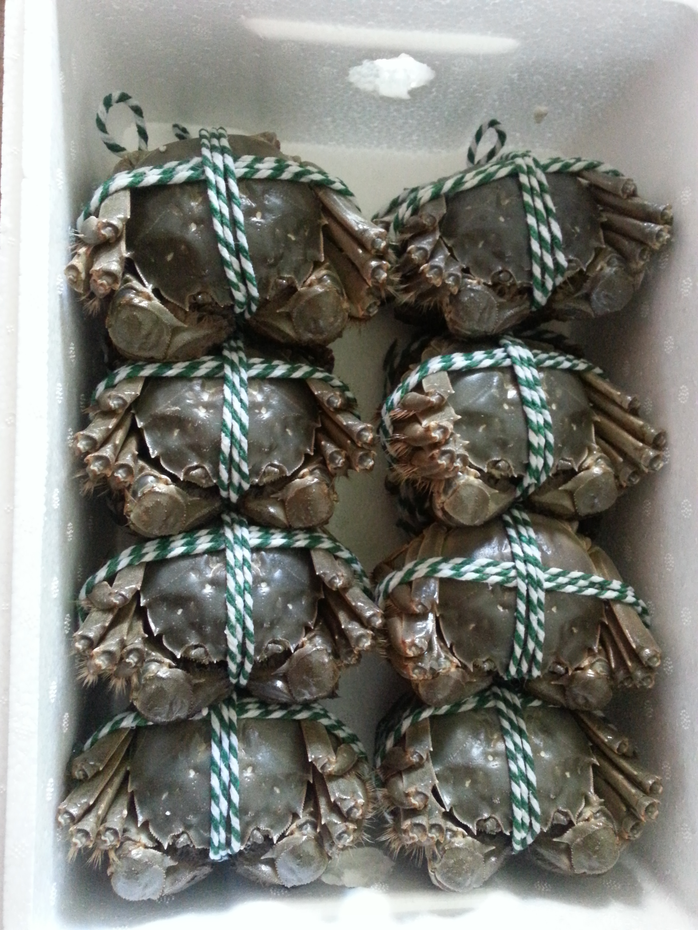 保溫箱裝盤錦河蟹圖片