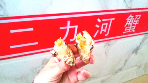 2016年一月冬季盤錦河蟹滿油公蟹圖片