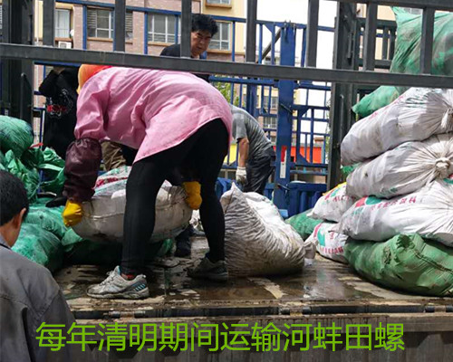 每車20噸的河蚌田螺~有機(jī)蟹的活餌