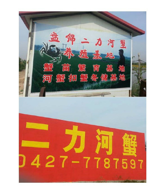 盤錦河蟹-二力螃蟹垂釣園