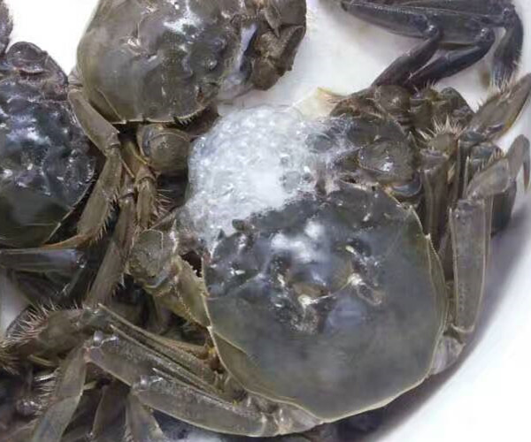 盤錦河蟹價格，盤錦河蟹多少錢一斤？2017年盤錦河蟹什么時間好吃上市