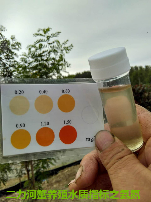 二力稻田養(yǎng)蟹最佳時(shí)間選擇理化指標(biāo)之氨氮