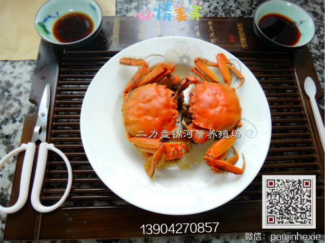 盤錦河蟹六月黃