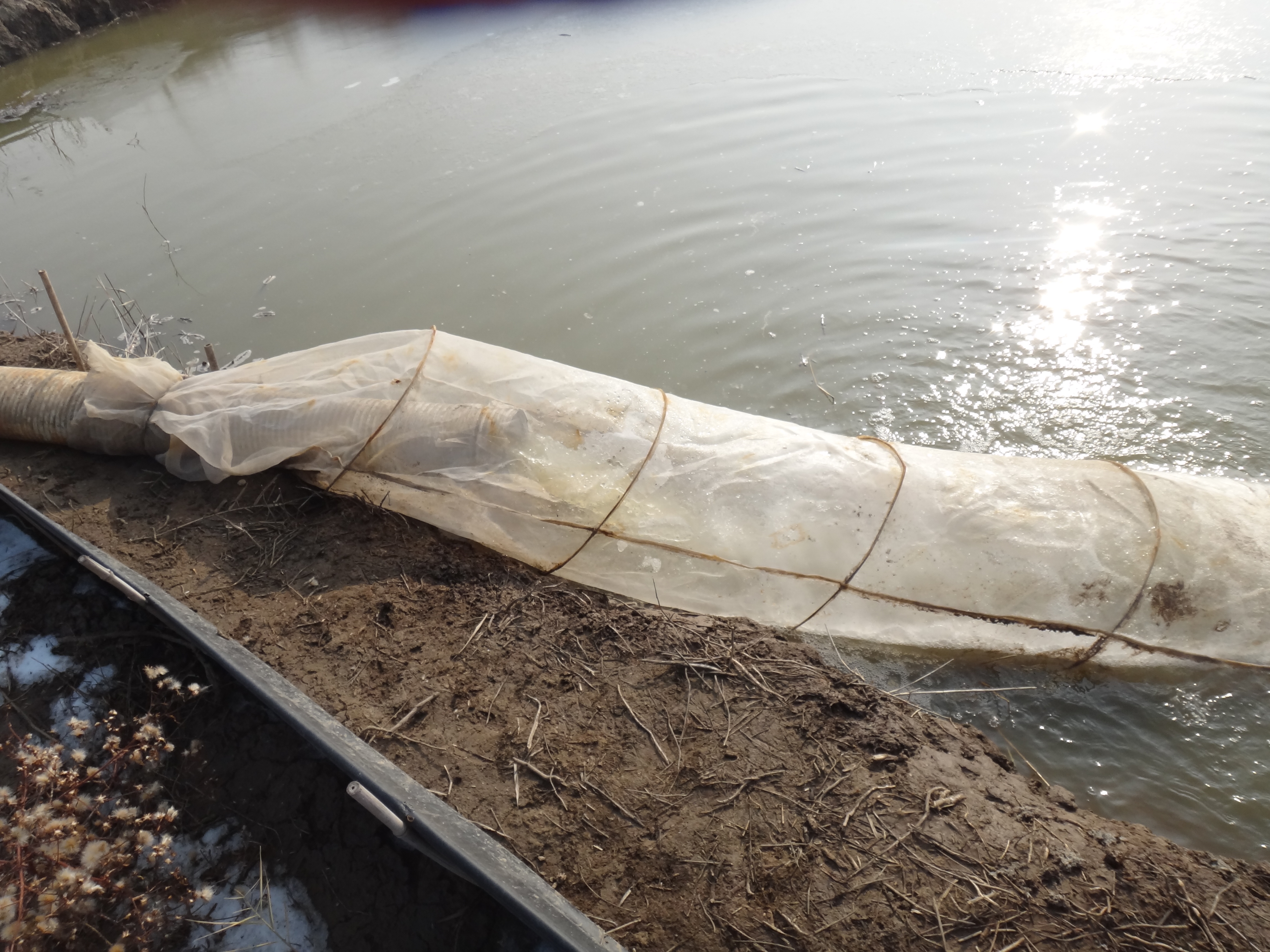 冬季蟹池防缺氧方法：蟹池入水，過濾掉河水中烏蝦，防止冬儲(chǔ)蟹池缺氧