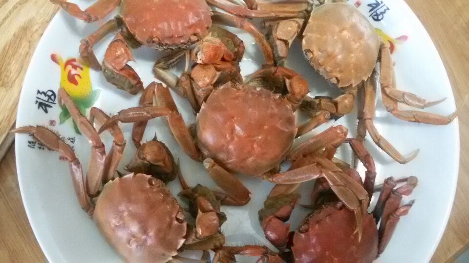 蒸熟后的盤錦河蟹六月黃群體照片