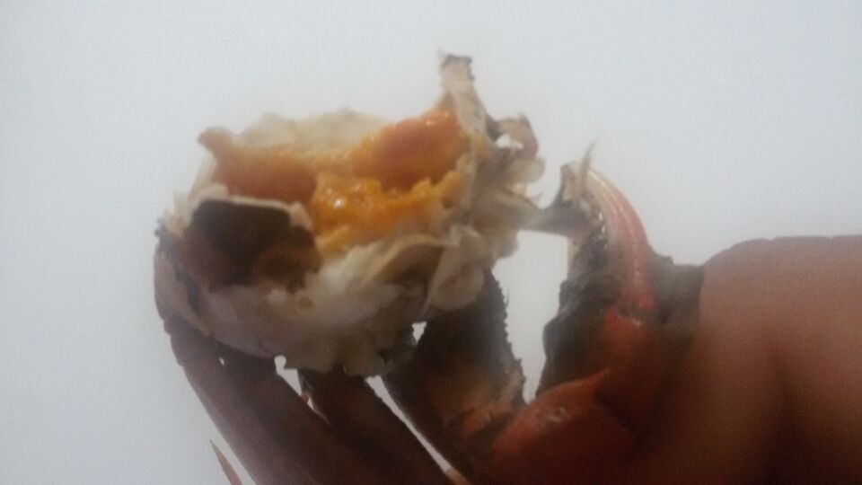 青黃不接的一盤大菜-盤錦六月黃河蟹