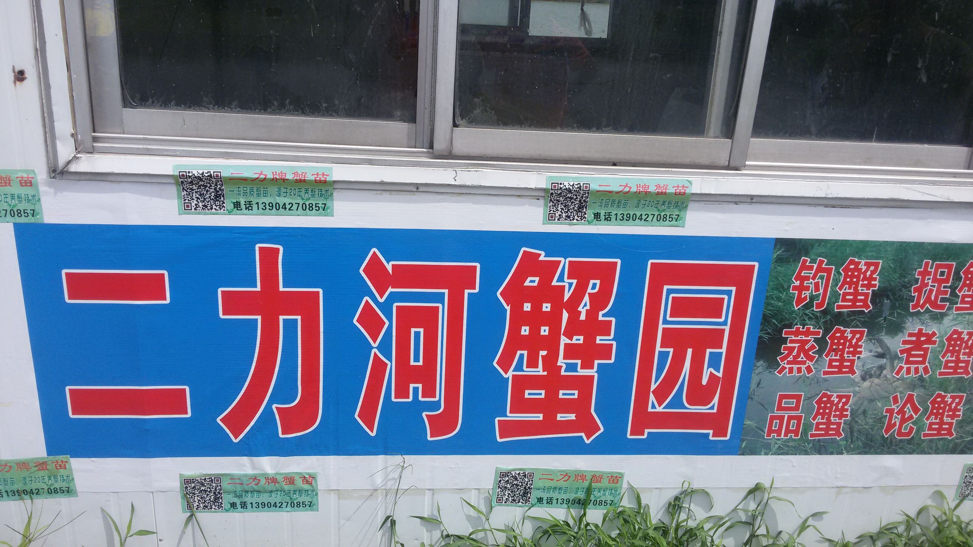 盤錦釣螃蟹-二力河蟹園