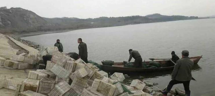 盤(pán)錦河蟹養(yǎng)殖場(chǎng)