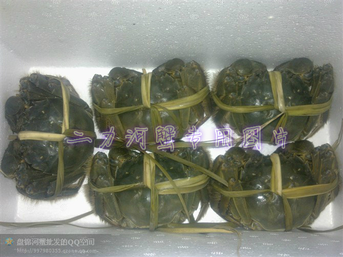 如何判斷捆綁河蟹的生死