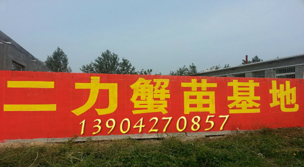 2015年二力蟹苗養(yǎng)殖基地