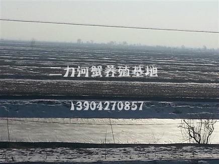 生態(tài)蟹苗越冬池