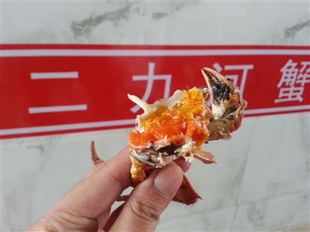 盤錦河蟹美圖下載大全