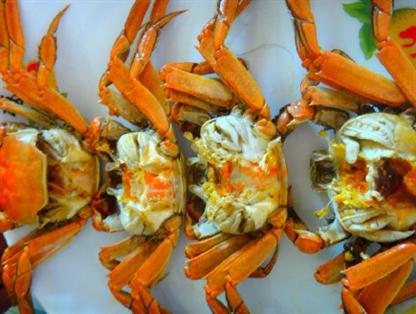 『二力河蟹』公道實(shí)惠,您親自見證