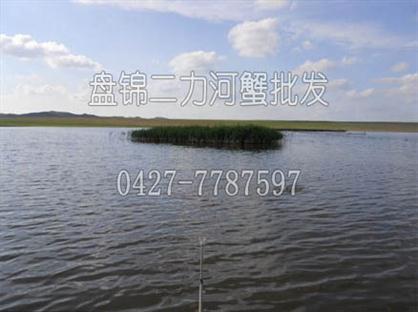  盤錦河蟹苗適于在全國大范圍內(nèi)推廣養(yǎng)殖，各地均有養(yǎng)殖成功案例